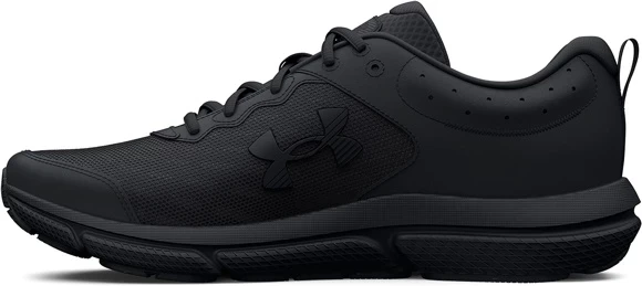 Кроссовки Under Armour UA Charged Assert 10 3026175-004 в Челябинске  в Челябинске 
