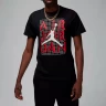 Футболка Nike Air Jordan Brand Jumpman Stack SS Crew FN5978-010 в Челябинске 