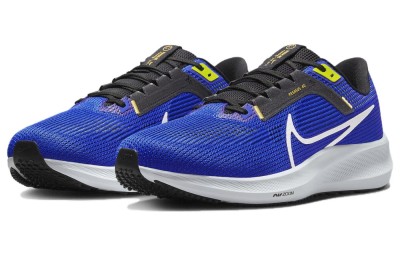 Кроссовки NIKE AIR ZOOM PEGASUS 40 WIDE DV7480-401