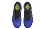 Кроссовки NIKE AIR ZOOM PEGASUS 40 WIDE DV7480-401