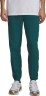 Брюки Under Armour UA Vibe Woven Jogger 1386557-338 в Челябинске  в Челябинске 