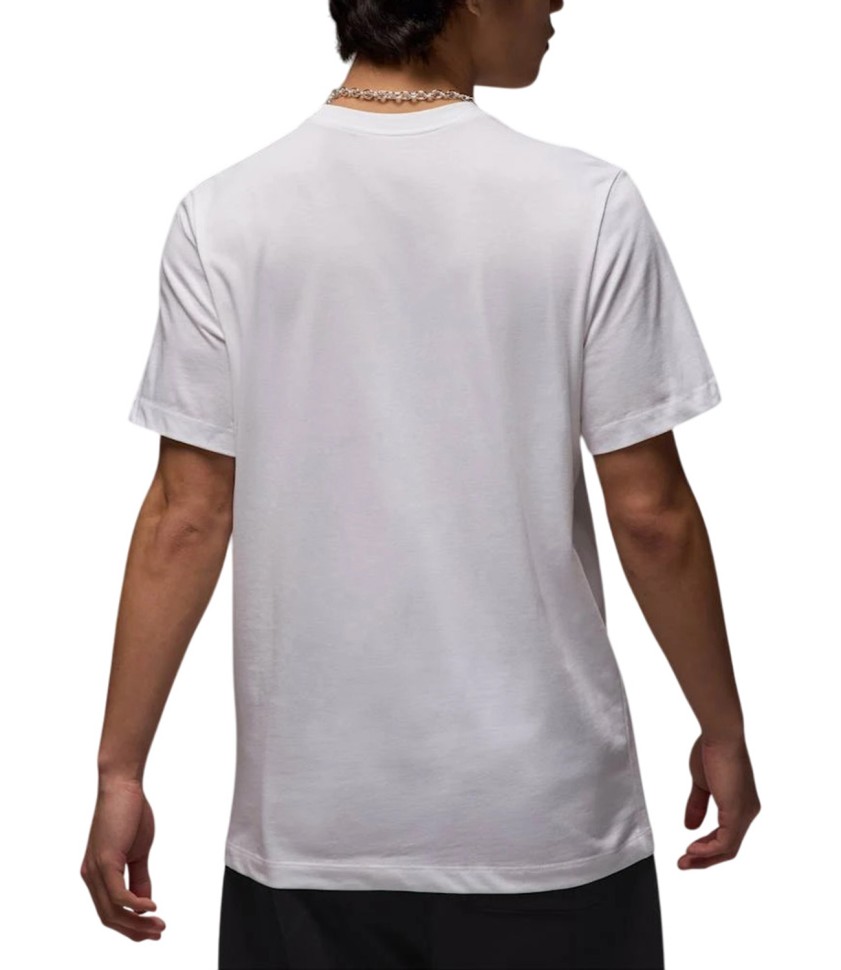 Футболка Nike M J JD AIR SS CREW (Jordan) IB7353-101 в Челябинске  в Челябинске 