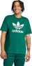 Футболка Adidas Adicolor Trefoil Tee IR7976 в Челябинске в Челябинске