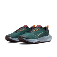 Кроссовки Nike Juniper Trail 2 Gore-Tex FB2067-300 в Челябинске  в Челябинске 