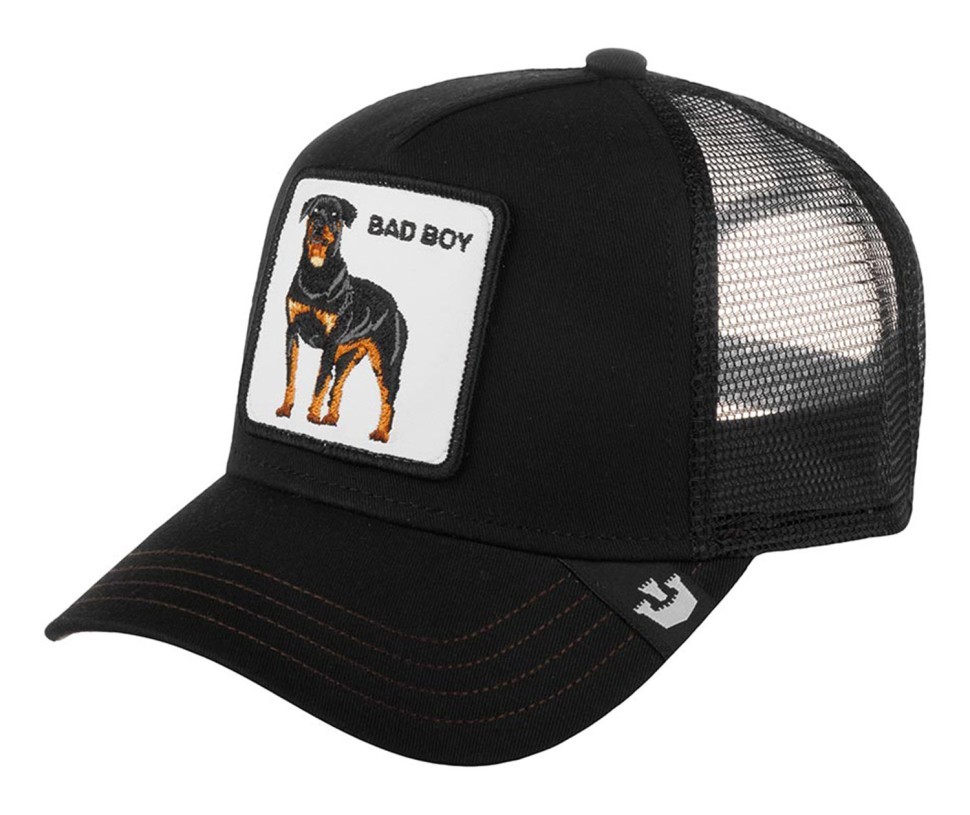 Бейсболка GOORIN BROTHERS ANIMAL FARM NAUGHTY PUP 201-0035 (черный) 91-732-09-00 в Челябинске  в Челябинске 