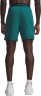 Шорты Under Armour UA Vanish Woven 6in Shorts 1373718-338 в Челябинске  в Челябинске 