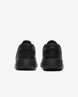 Кроссовки Nike Air Max SC CW4555-003