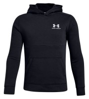 Толстовка Under Armour UA Cotton Fleece Hoodie 1343678-002 в Челябинске  в Челябинске 