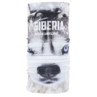 Бандана Buff Thermonet Siberia 135037.000.10.00 в Челябинске  в Челябинске 
