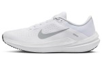 Кроссовки NIKE AIR WINFLO 10 DV4022-102