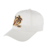 Бейсболка AMERICAN NEEDLE 40742C-FLP Florida Panthers Blue Line NHL (белый) 06-958-17-00 в Челябинске в Челябинске