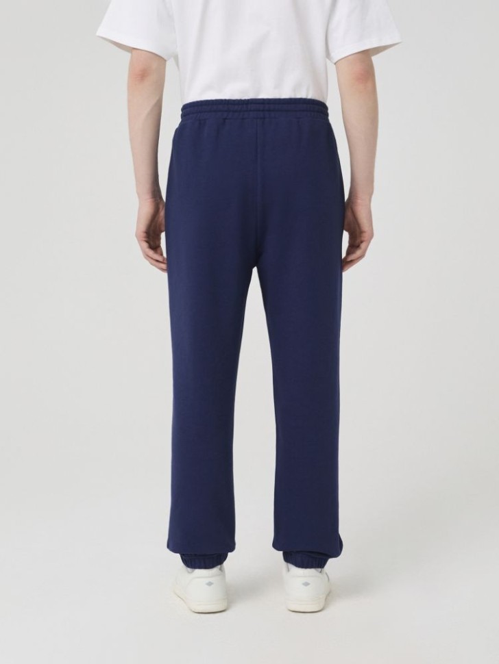 Брюки спортивные Lee Cooper LC-SWP-015MFW/NV в Челябинске в Челябинске