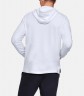 Толстовка Under Armour SPORTSTYLE TERRY HOODIE 1329291-113 в Челябинске  в Челябинске 