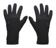 Перчатки Under Armour M's Storm Fleece Gloves 6000391-001