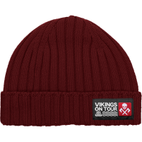 Шапка Hardcore Training Vikings On Tour Maroon hctcap021
