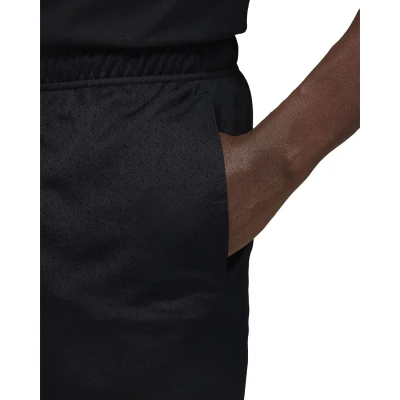 Шорты Nike Jordan DF SPRT MESH SHORT FN5816-010