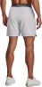 Шорты Under Armour UA Vanish Woven 6in Shorts 1373718-014 в Челябинске в Челябинске