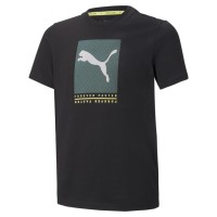 Футболка Puma Active Sports Graphic Tee B 84699351 в Челябинске  в Челябинске 