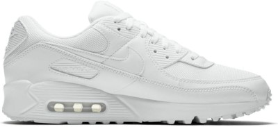 Кроссовки Nike AIR MAX 90 365 CN8490-100