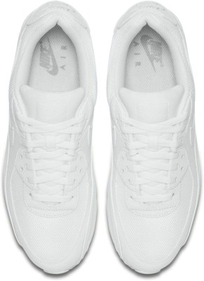 Кроссовки Nike AIR MAX 90 365 CN8490-100