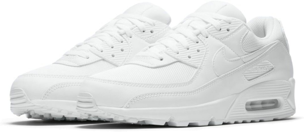 Кроссовки Nike AIR MAX 90 365 CN8490-100