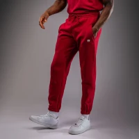 Брюки спортивные Venum Silent Power Joggers - Cherry Red Ven05016-003 в Челябинске  в Челябинске 