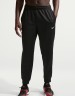 Брюки Nike M NK DF UV FLEX FLC JOGGER IF2989-010 в Челябинске  в Челябинске 
