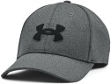 Кепка Under Armour Men's UA Blitzing 1376700-003