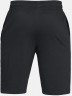 Шорты Under Armour SPORTSTYLE RIVAL SHORT Black /  / Black 1320733-001 в Челябинске  в Челябинске 