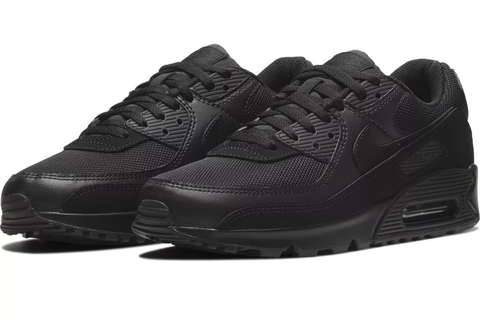 Кроссовки Nike AIR MAX 90 365 CN8490-003