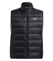 Жилет Under Armour LEGEND DOWN VEST 1385838-001 в Челябинске  в Челябинске 
