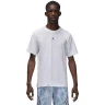 Футболка Nike Jordan DF SPRT SS TOP FN5829-100 в Челябинске в Челябинске