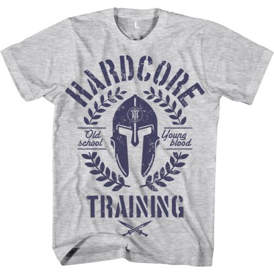 Футболка Hardcore Training Helmet Grey hctshirt0331
