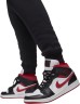 Брюки Nike Jordan M J Ess Flc Baseline Pant FD7345-010 в Челябинске в Челябинске