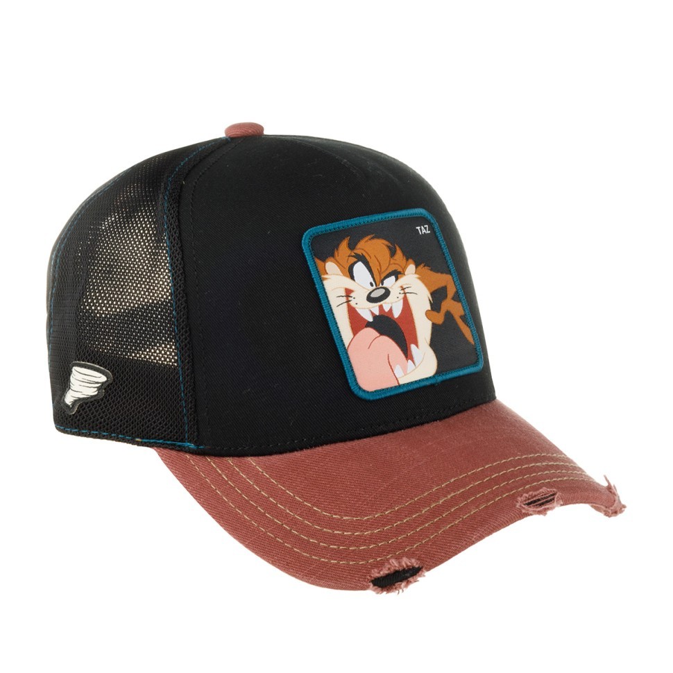 Бейсболка CAPSLAB CL/LOO8/1/CT/TAZ4 Looney Tunes Taz (коричневый / черный) 88-503-14-00 в Челябинске  в Челябинске 