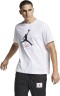 Футболка Nike JUMPMAN FLIGHT HBR TEE AO0664-100 в Челябинске 