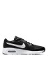 Кроссовки Nike Air Max SC Kids CZ5358-002 в Челябинске 