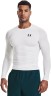 Футболка Under Armour с длинным рукавом UA HG Armour Comp LS 1361524-100 в Челябинске  в Челябинске 