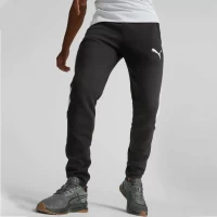 Брюки Puma EVOSTRIPE Pants DK 67331551 в Челябинске  в Челябинске 