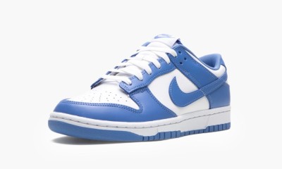 Кроссовки Nike Dunk Low &quot;Polar Blue&quot; DV0833-400