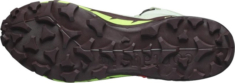Кроссовки Salomon CROSS HIKE MID GTX 2 L47277700 Desert Sage/Green Gecko/Chocolate Plum Male в Челябинске  в Челябинске 