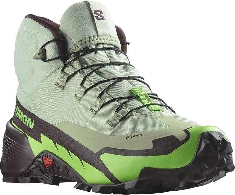 Кроссовки Salomon CROSS HIKE MID GTX 2 L47277700 Desert Sage/Green Gecko/Chocolate Plum Male в Челябинске  в Челябинске 