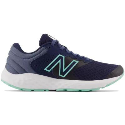 Кроссовки New Balance NB 420 WE420CB2