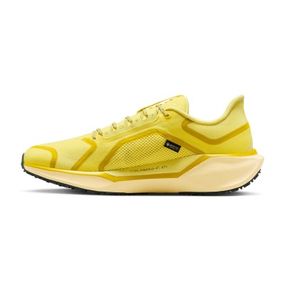 Кроссовки Nike AIR ZM PEGASUS 41 GTX FQ1356-700