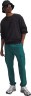 Брюки Under Armour UA Vibe Woven Cargo Pants 1386558-338 в Челябинске  в Челябинске 
