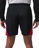 Шорты Nike M J SPT BB SHORT IQ5775-010 в Челябинске  в Челябинске 