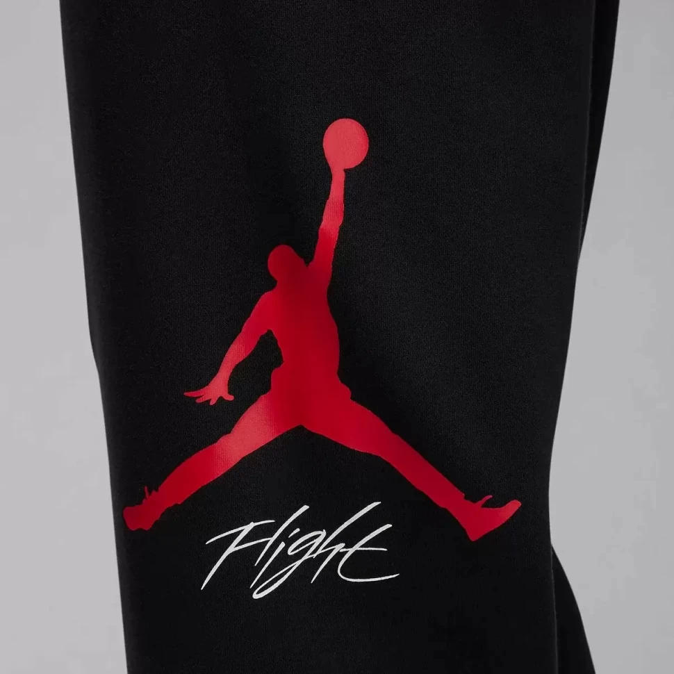 Брюки Nike M Jordan Ess Flc Baseline Pant FD7345-013 в Челябинске  в Челябинске 