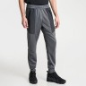 Брюки Nike M NSW AIR MAX PK JOGGER FV5445-068 в Челябинске  в Челябинске 