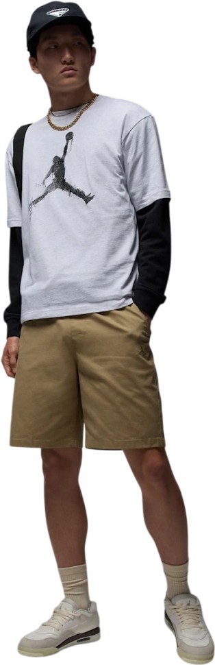 Футболка Nike M J BRK COL JUMPMAN SS CREW HQ8925-051 в Челябинске  в Челябинске 