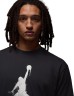Футболка Nike M J BRK COL JUMPMAN SS CREW HQ8925-010 в Челябинске  в Челябинске 